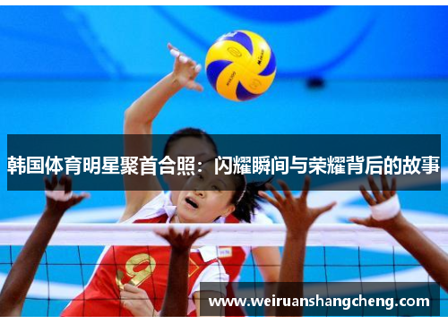 韩国体育明星聚首合照：闪耀瞬间与荣耀背后的故事