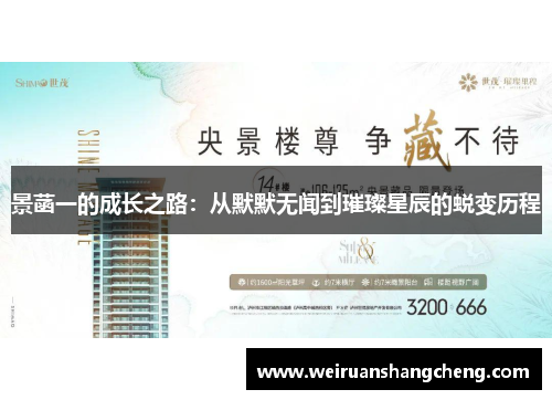 景菡一的成长之路：从默默无闻到璀璨星辰的蜕变历程