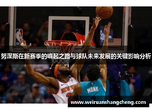 努涅斯在新赛季的崛起之路与球队未来发展的关键影响分析