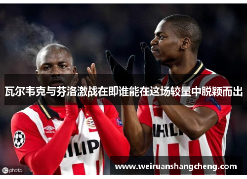 瓦尔韦克与芬洛激战在即谁能在这场较量中脱颖而出