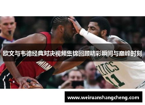 欧文与韦德经典对决视频集锦回顾精彩瞬间与巅峰时刻